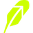 Robinhood Chain logo